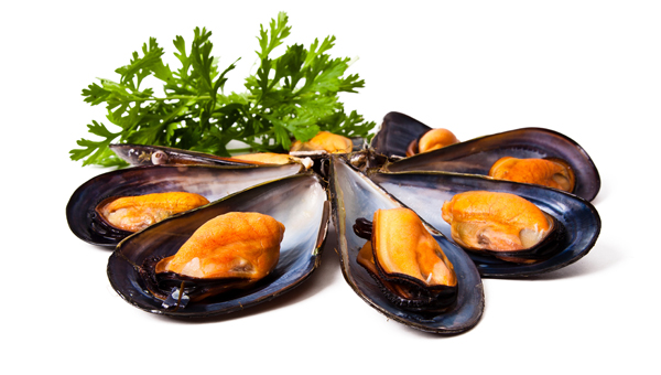 https://www.flug-gastroservice.de/wp-content/uploads/FLUG-Angebot-Muscheln-Teaser.jpg
